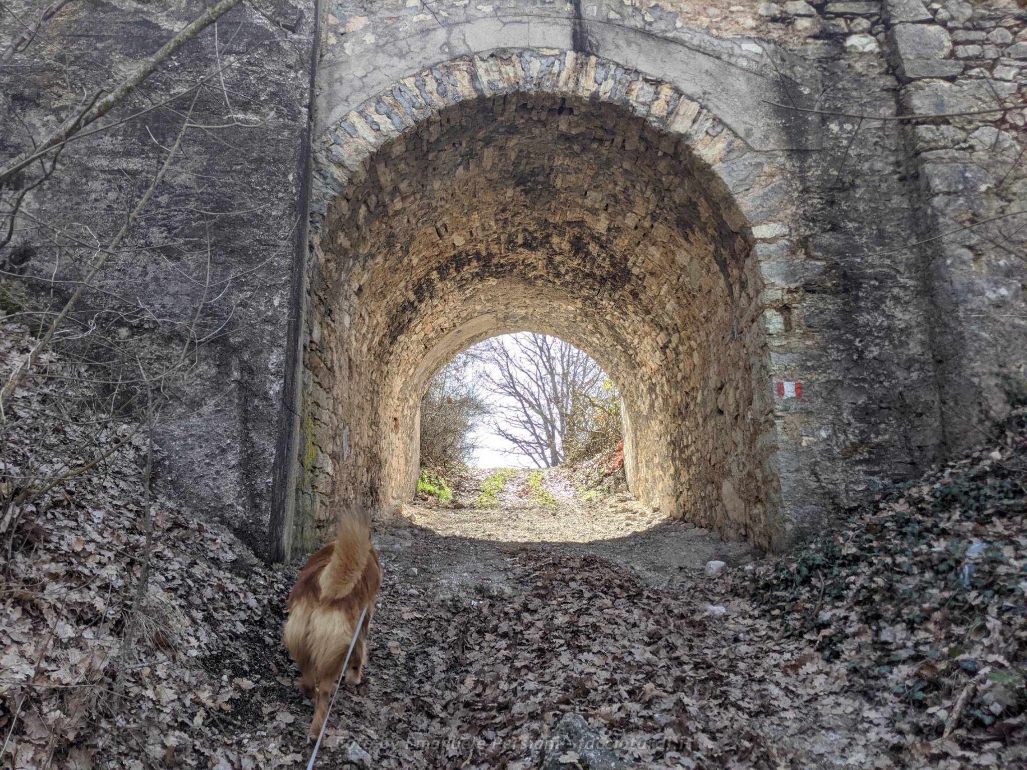 Passeggiata ad anello Valle di Santa Scolastica con cane