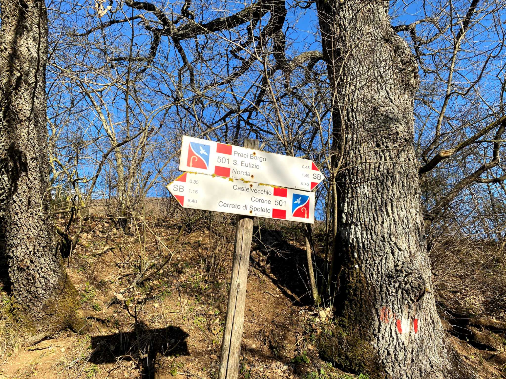 Percorso panoramico adatto a MTB a Preci